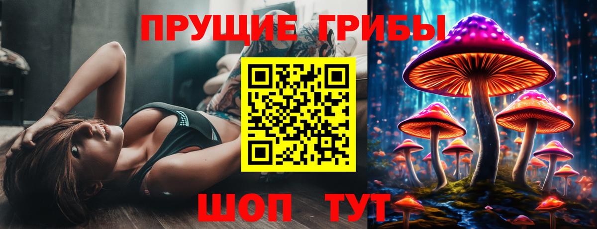 Псилоцибиновые грибы ЛСД  Псилоцибиновые грибы мицелий  Вход с VPN  Кизилюрт 